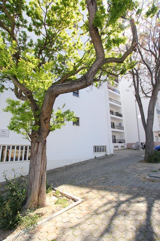 Casa Belavista - Baia Apartment Lagos Ngoại thất bức ảnh